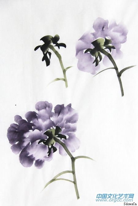紫牡丹绘画技巧